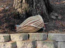 Tambor al aire libre junto al árbol